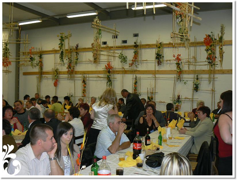 Szuret Felv es Bal_258